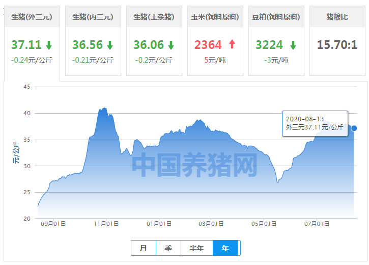 8月13日最新猪价行情深度解析