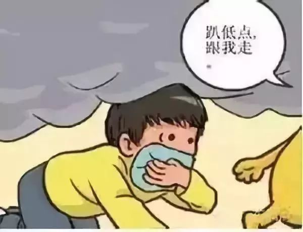 逆风飞扬 第2页