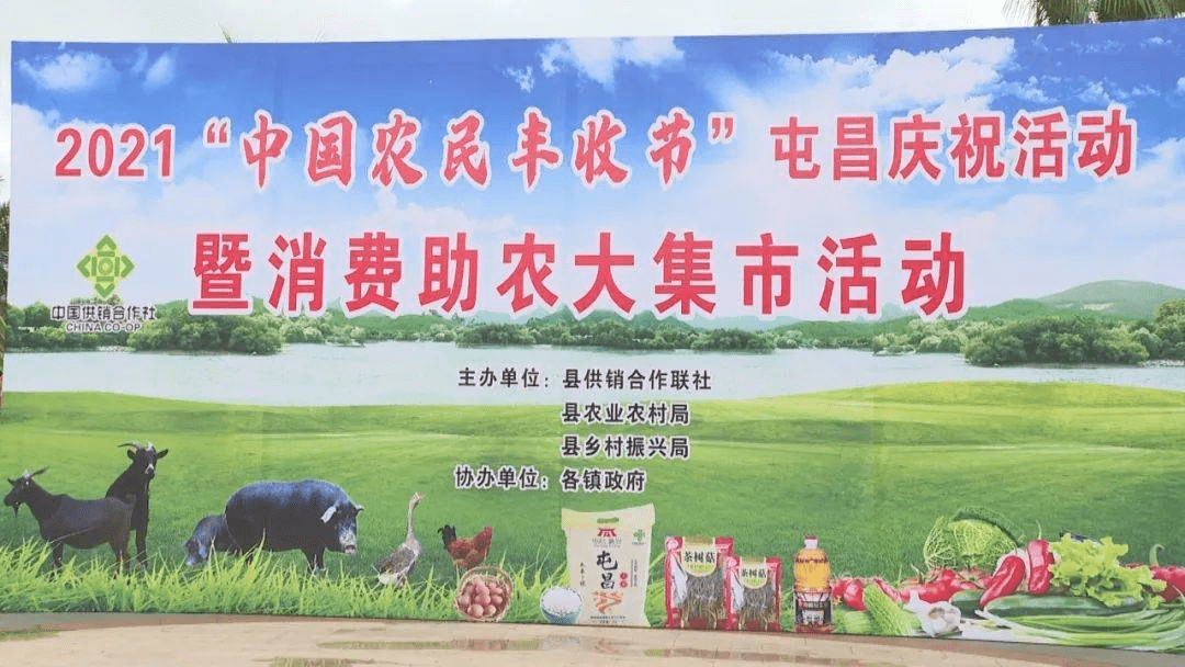 望其项背 第2页