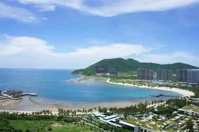 东郊椰林探秘，绝美风光与深度游玩攻略！