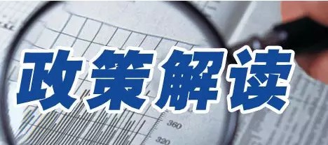 基佬比赛背后的政治议题探讨，深度解读背后的复杂话题