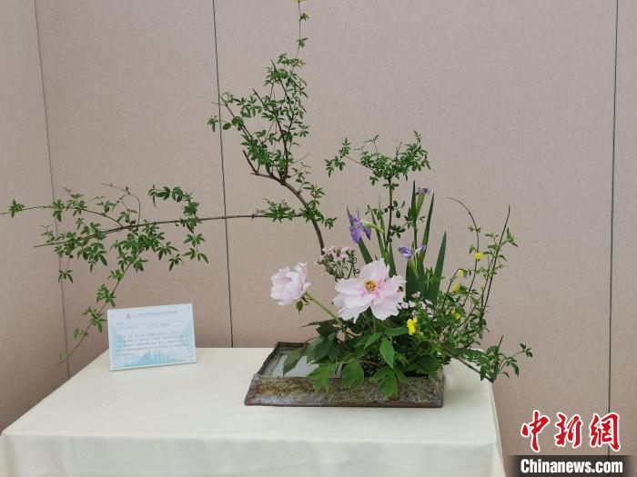 精彩回顾，单位插花艺术大赛的绚烂瞬间