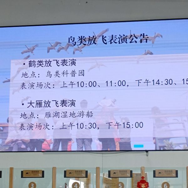 东营黄河入海口门票价格全解析