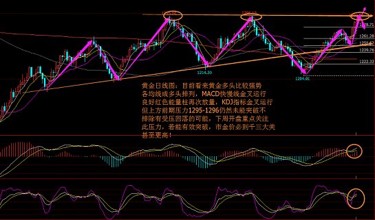 明日涨停潜力股揭秘，深度分析助力精准布局策略