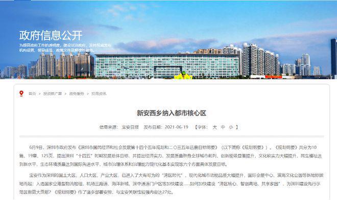 沈丘今日羊价行情深度解析