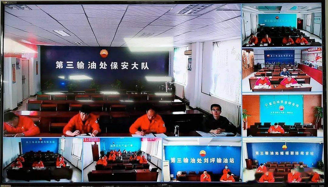 三虎公司名字大全，最新精选名称一网打尽！